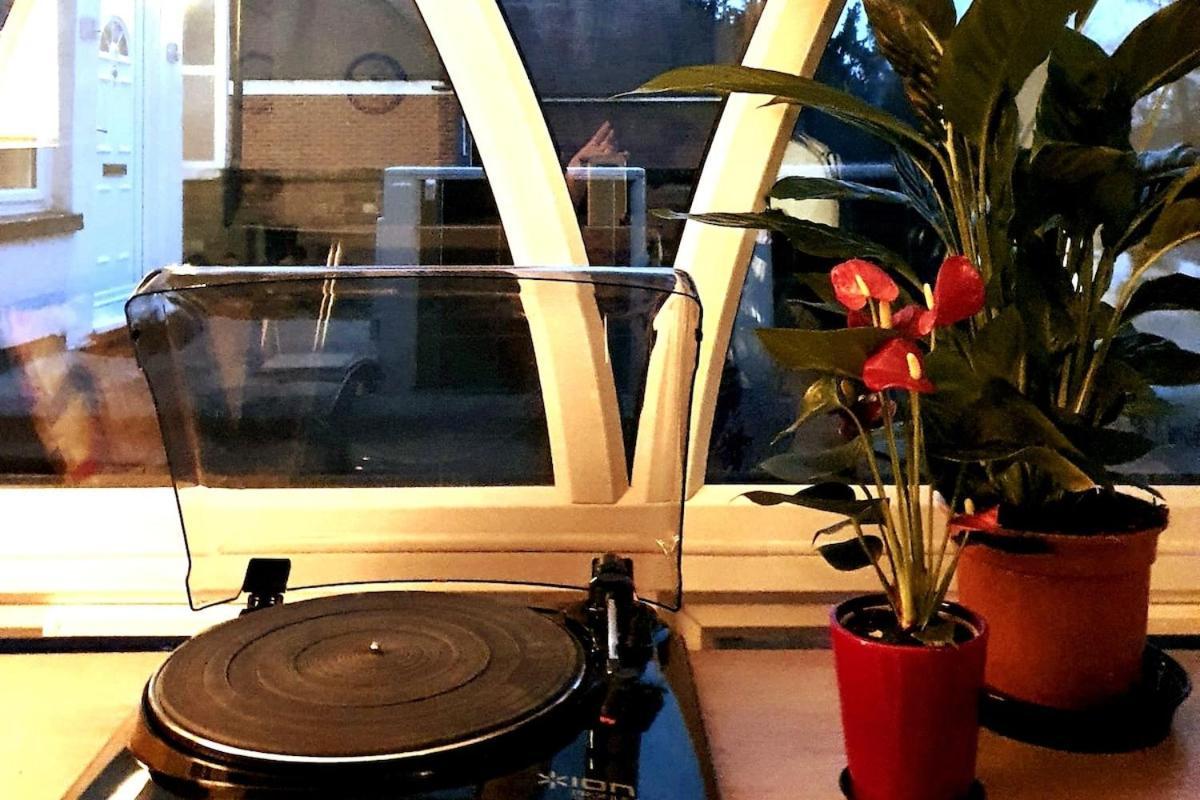 Apartment One Bedroom Flat - Pets Welcome
